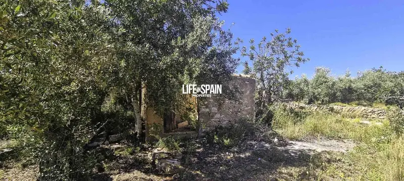 Finca Rustica en Venta Xerta Tarragona