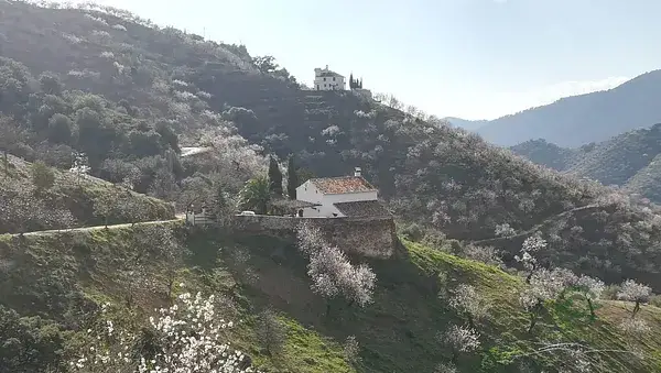Terreno Rústico en Málaga con Proyecto de Vivienda Incluido