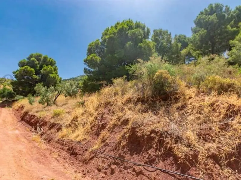Terreno Rústico en Venta Ardales Málaga
