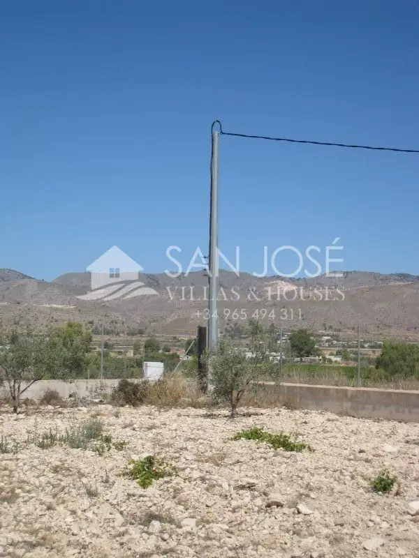 Albergue en Venta La Romana 9000m2