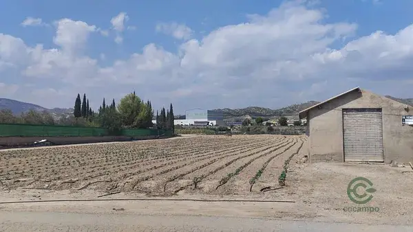 Terreno en Venta Totana Murcia 11870m2