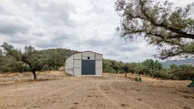 Finca Rústica en Venta Cañaveral de Leon Huelva