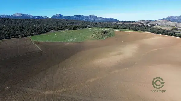 Finca Rustica en Ronda con 4 Dormitorios y 3 Baños