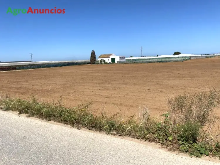 Venta  de Finca de regadío en Cádiz