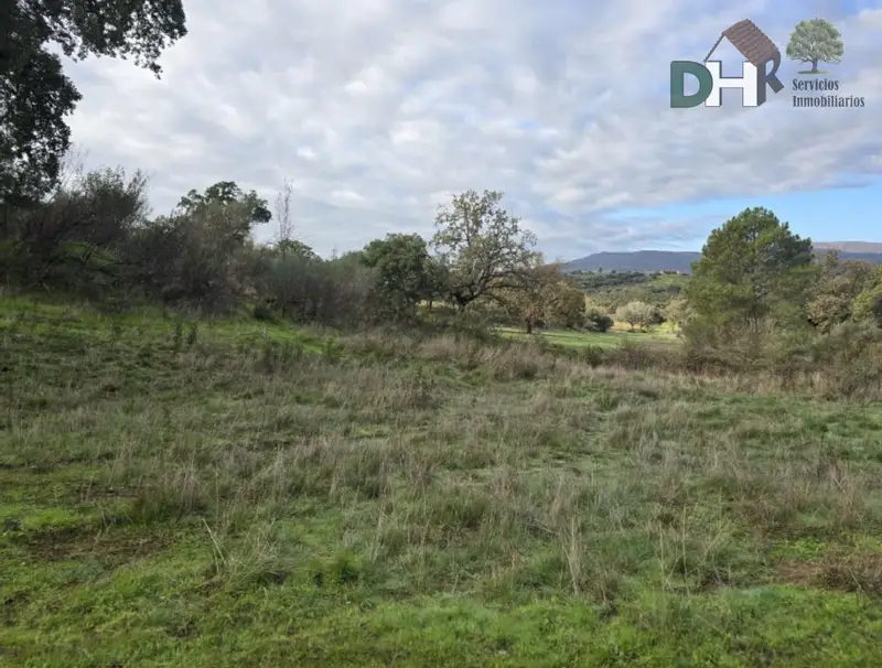 Venta Finca Rustica 150 Hectareas Caceres