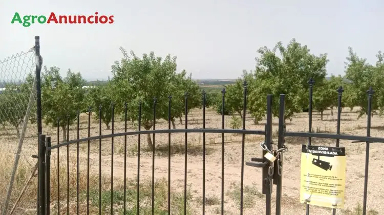 Venta  de Finca de regadío en Toledo