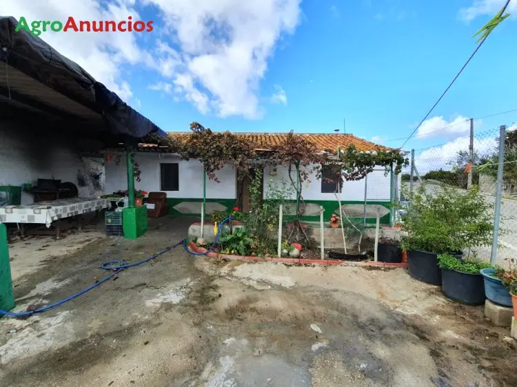 Venta  de Finca de aguacates con casa de campo en Málaga