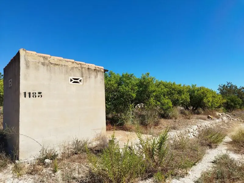 Parcela 12000m2 con Naranjos Cerca de Orba