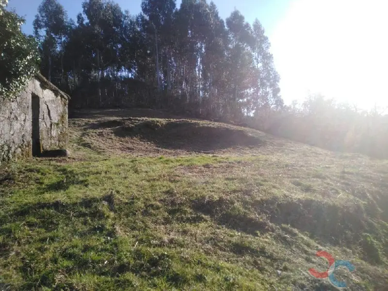 Venta Terreno Luminoso A Lama