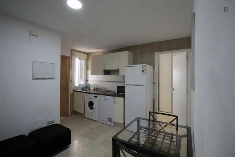 Alquiler Piso 2 Dormitorios Madrid