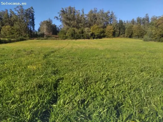 Casa Para Restaurar en San Sadurniño 20000m2