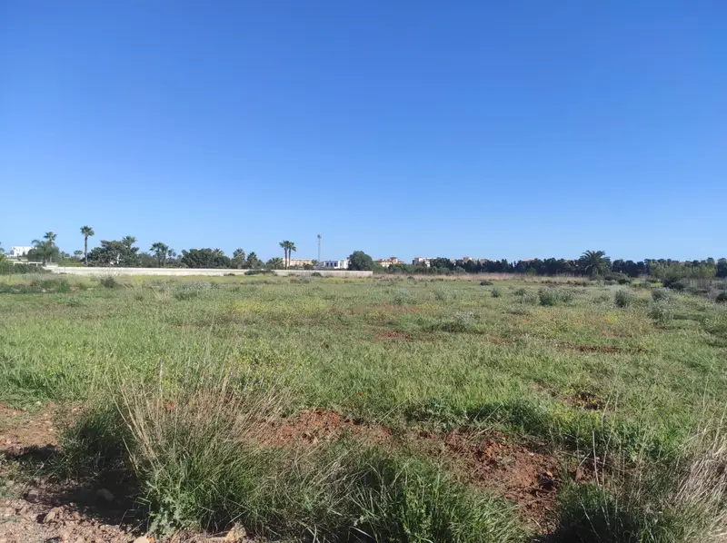 Terreno en Venta Denia 8079m2
