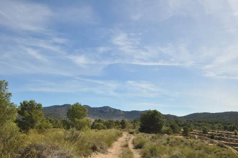 Parcelas en Venta La Zarza Murcia Junto Parque Nacional