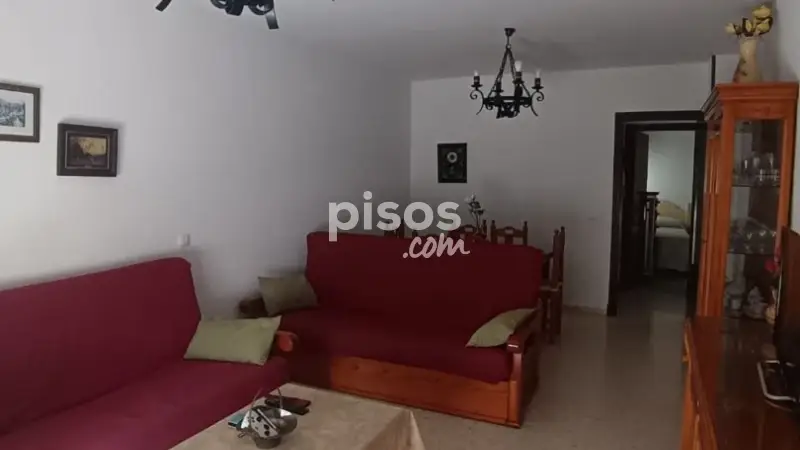 Alquiler Piso Alameda San Marcos Temporada Escolar