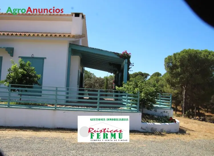 Venta  de Finca de recreo en Sevilla