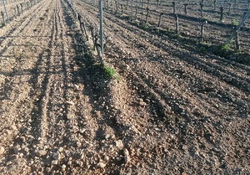 Venta Finca 3 habitaciones Carretera Daimiel Valdepeñas