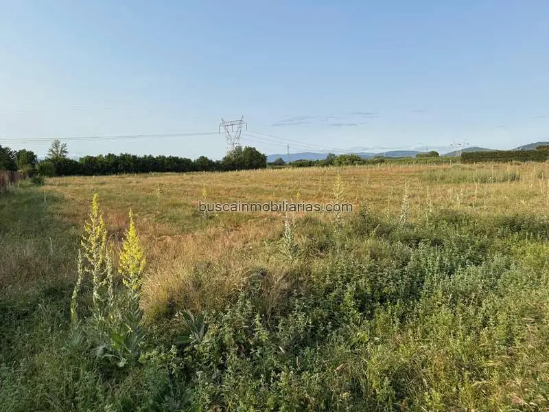 Parcela Rustica en Venta Camponaraya 7400m2