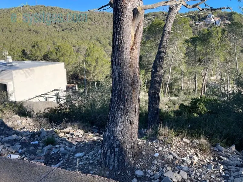 Terreno Rustico en Venta Olivella Barcelona
