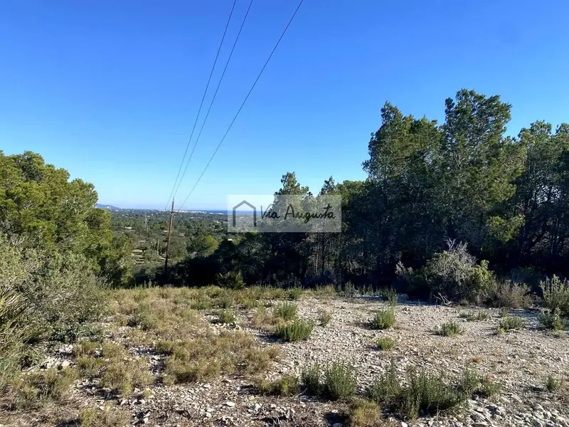 Finca Rustica en L Ametlla de Mar Tarragona 15420m2