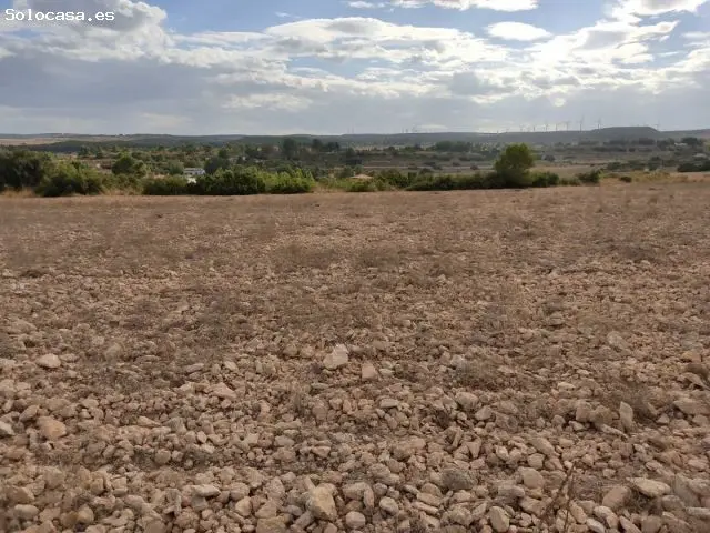 Parcela 15000m2 Los Espetones Almansa Chalet