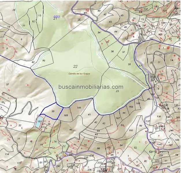 Parcela Rustica en Venta en Ubeda Oportunidad para Inversores