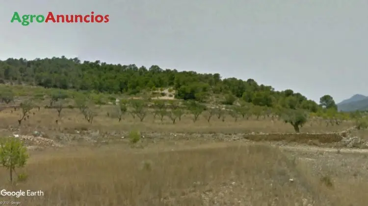 Venta  de Finca de almendros en Murcia