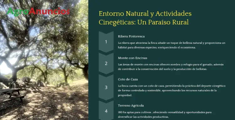 Venta Finca Rustica Zamora 550 Hectareas Ganaderia Caza Alojamiento
