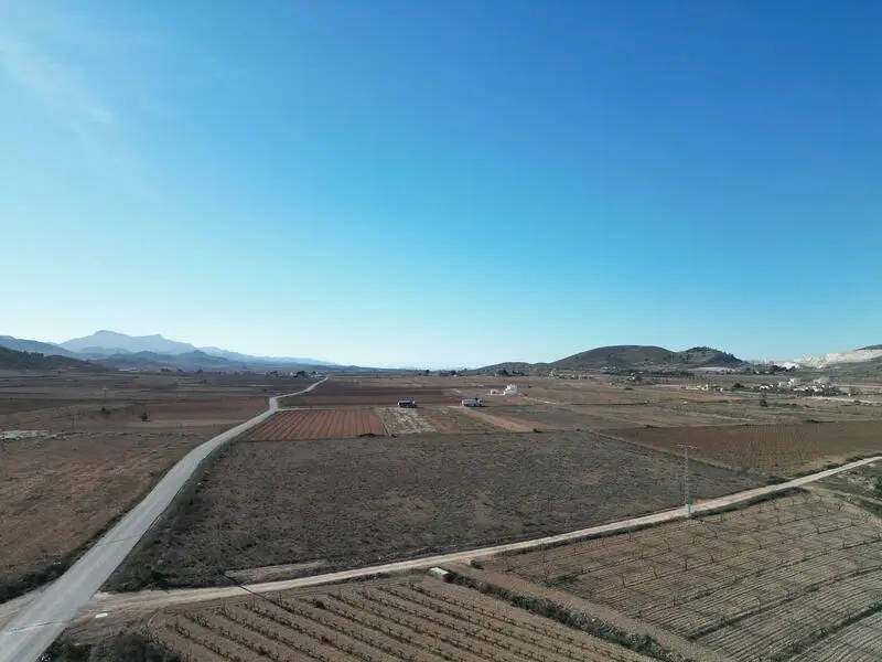 Terreno en Venta cerca de Pinoso Alicante