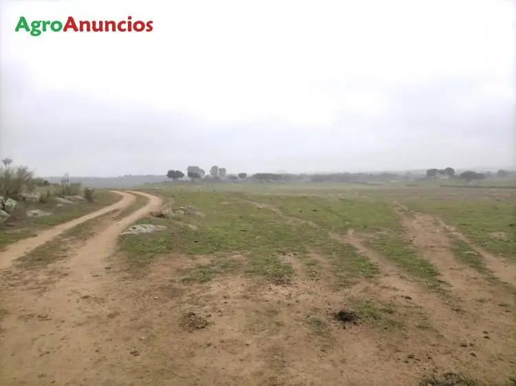 Alquiler  de Finca para instalaciones de paneles solares en Cáceres