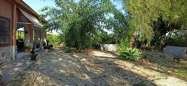 Casa de Campo en Elche cerca de la Playa 5 Dormitorios