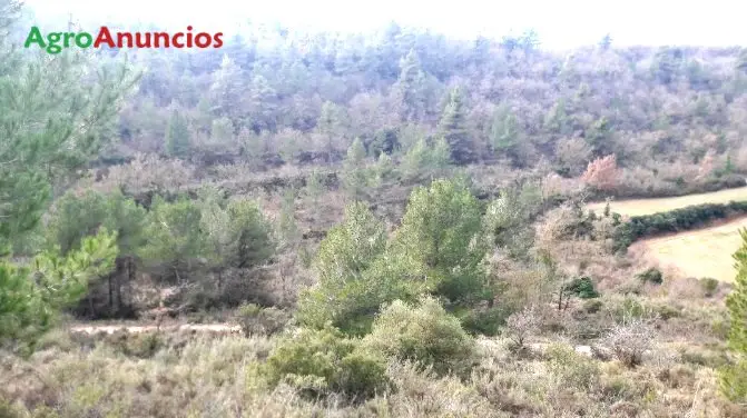 Venta  de Finca rústica en Lleida