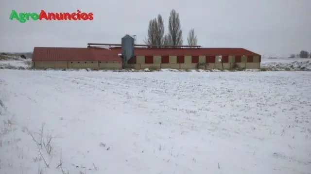 Alquiler  de Nave ganadera en Burgos