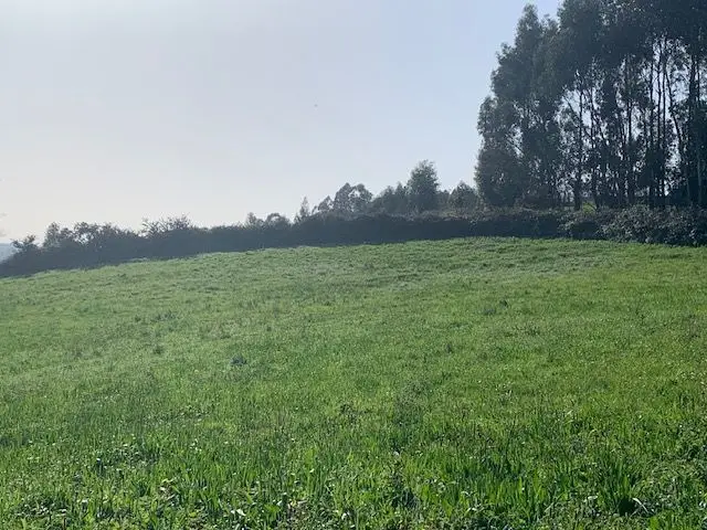 Venta Finca Gijón Vistas Impresionantes