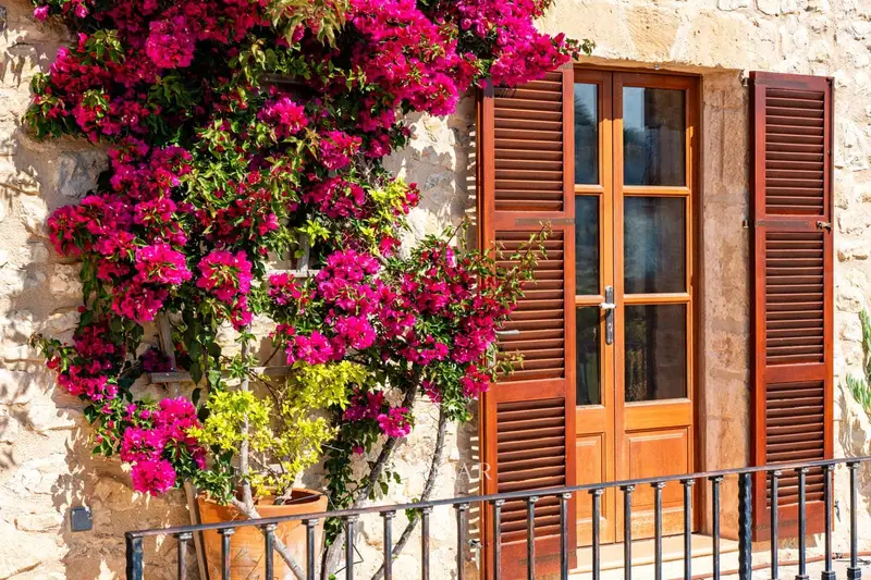 Finca Rustica en Venta Sineu Mallorca