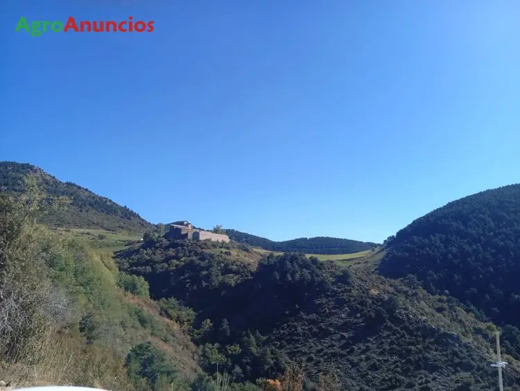 Venta  de Finca de caza con casa en Lleida