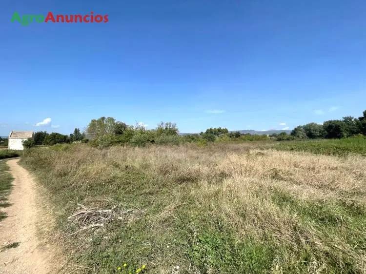 Venta  de Finca de regadío en Tarragona