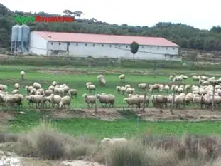 Alquiler  de Nave agrícola en Navarra