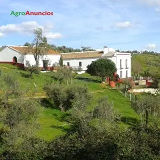 Venta  de Finca para eventos en Sevilla