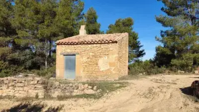 Finca Rustica en Venta Plaza Mayor 1 Ha Olivos Masia 30m2