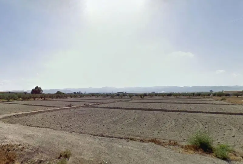 Venta Parcela 5013m2 Cazalla Lorca Ideal Cultivo Vivienda