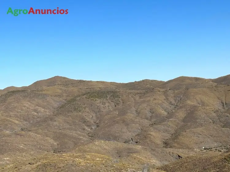 Venta  de Finca de recreo en Almería