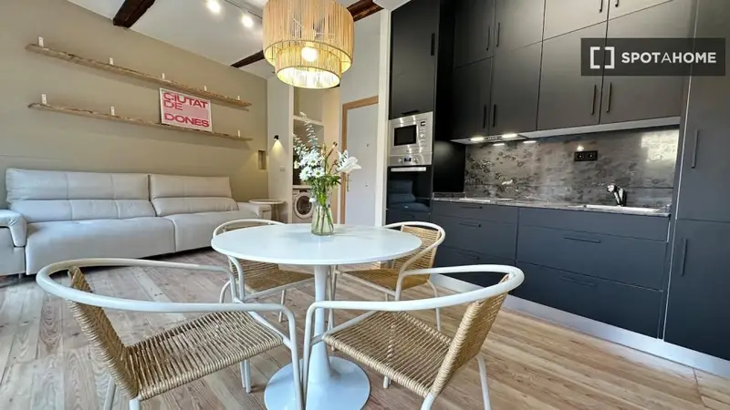 Alquiler Piso 1 Dormitorio Vigo Pontevedra