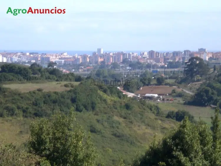 Venta Suelo Parcelable Asturias 7000m2 Vistas Gijon