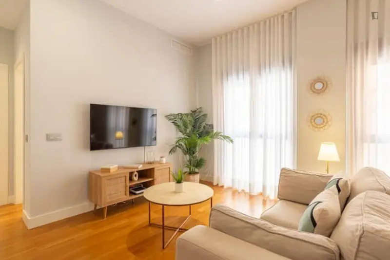 Apartamento 1 Dormitorio Malaga Centro