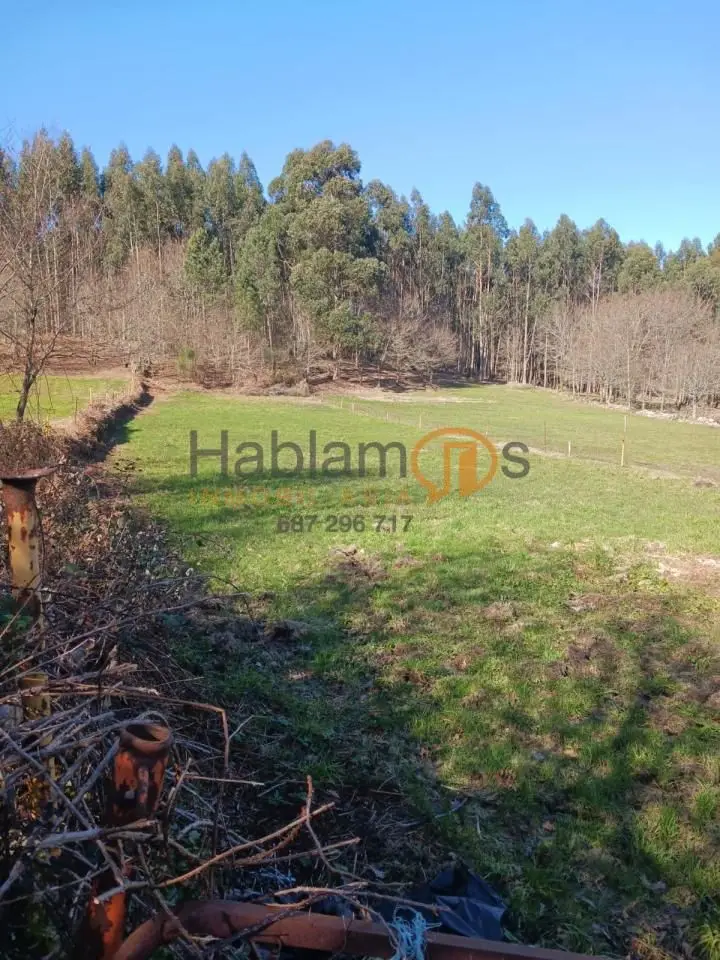 Finca Rustica en Venta Caldelas 8000m2