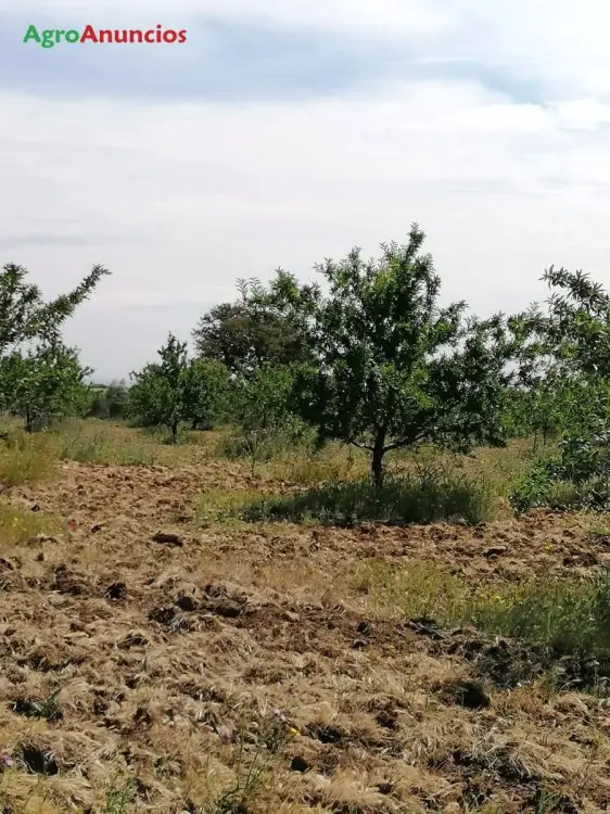 Venta  de Finca rústica en Toledo