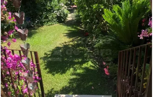 Rent 3 bedroom apartment of 300 m² in Marbella