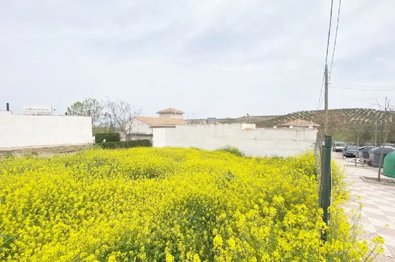 Venta Terreno Fuensanta Pinos Puente Grana