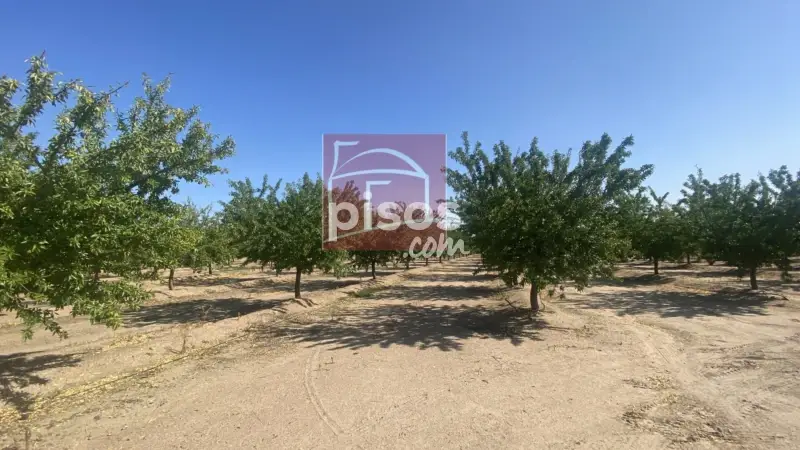 Finca rústica en venta en Villanueva de La Serena