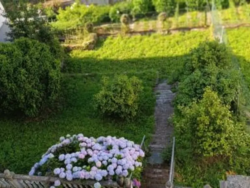 Chalet en Venta Cudillero Asturias 6 Dormitorios Jardin Garaje